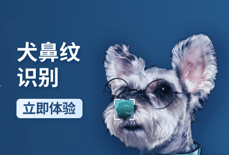 旷视犬鼻纹识别