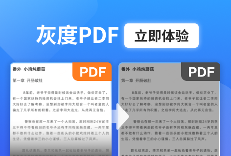 FileConverto灰度PDF