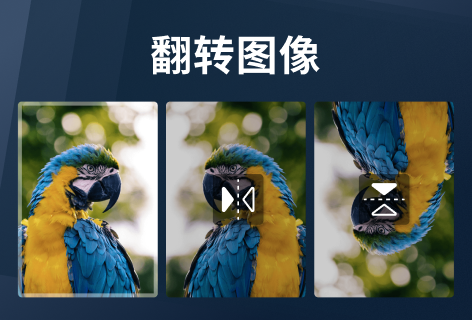 ImageResizer翻转图像