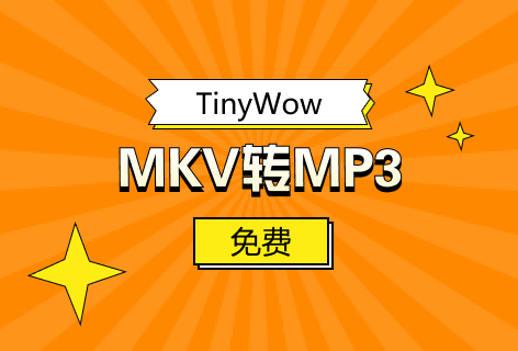 TinyWowMKV转MP3