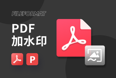 FILEFORMATPDF加水印
