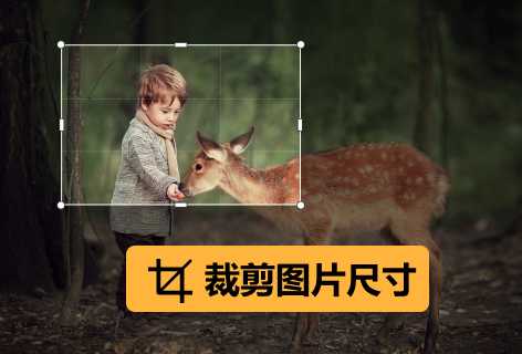 图司机裁剪图片尺寸