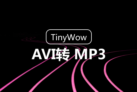 TinyWowAVI转 MP3