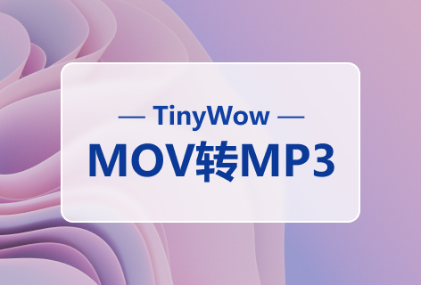 TinyWowMOV转MP3