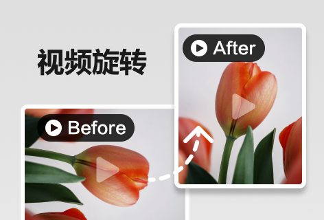 Media.io视频翻转