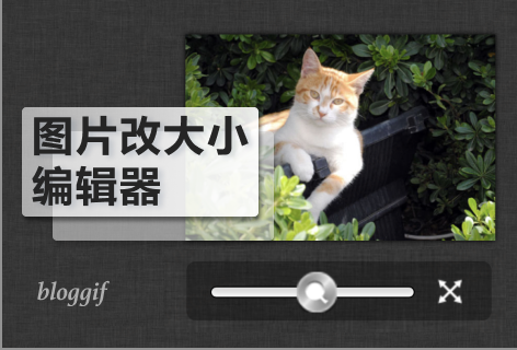 bloggif图片改大小