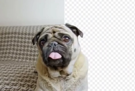 SOOGIF去除GIF背景